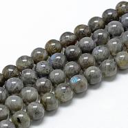 Natural Labradorite Beads Strands, Round, 10mm, Hole: 1mm, about 37~38pcs/strand, 15.55 inch(39.5cm)(G-R446-10mm-14)