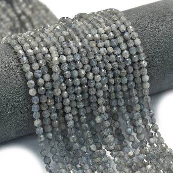 Natural Labradorite Beads Strands, Energy Prism Cut Double Terminated Point Beads, Faceted Bicone, 4x4.5mm, Hole: 0.4mm, about 83pcs/strand, 14.96 inch(38cm)