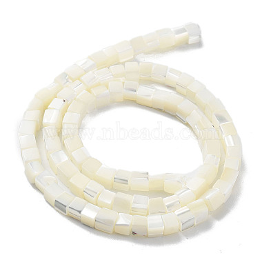 Natural Trochus Shell Beads Strands(SHEL-M020-01)-3