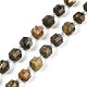 Natural Rhyolite Jasper Beads Strands(G-O201B-122F)-2