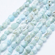 Natural Larimar Beads Strands, Nuggets, 5~11x5~7mm, Hole: 1mm, 15.3 inch~15.7 inch(39~40cm)(G-K203-48)