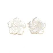 Natural White Shell Beads, Flower, WhiteSmoke, 20x20x2mm, Hole: 0.5mm(SHEL-M021-08C)