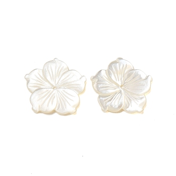 Natural White Shell Beads, Flower, WhiteSmoke, 20x20x2mm, Hole: 0.5mm