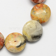 Flat Round Gemstone Natural Crazy Agate Stone Beads Strands, Pale Goldenrod, 16x5mm, Hole: 1mm, about 25pcs/strand, 16.5 inch(G-S110-05)