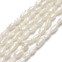 Natural Cultured Freshwater Pearl Beads Strands, Keshi Pearl Beads, Linen, 4~6x2.5~3.2mm, Hole: 0.5mm, about 64~66pcs/strand, 13.78''~13.97"(35~35.5cm)(PEAR-J006-05A)