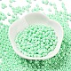 Baking Paint Glass Seed Beads(SEED-H002-I-A524)-2
