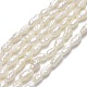 Natural Cultured Freshwater Pearl Beads Strands(PEAR-J006-05A)-1