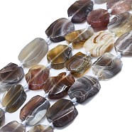 Natural Botswana Agate Beads Strands, Rectangle, 15~17x10~13x5~7mm, Hole: 1mm, about 22pcs/strand, 15.94''(40.5cm)(G-K245-J10-C01)
