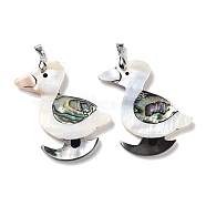 Natural Paua Shell & Black Lip Shell & White Shell Pendants, Duck Charms with Stainless Steel Color Tone Stainless Steel Snap on Bails, 54.5x52x4~5mm, Hole: 6x4mm(FIND-A041-02E-P)