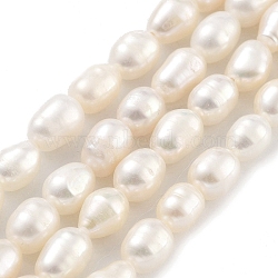 Natural Cultured Freshwater Pearl Beads Strands, Rice, Grade 2A+, White, 5~5.5mm, Hole: 0.6mm, about 27pcs/strand, 6.89''(17.5cm)(PEAR-P062-09B)