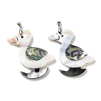 Natural Paua Shell & Black Lip Shell & White Shell Pendants, Duck Charms with Stainless Steel Color Tone Stainless Steel Snap on Bails, 54.5x52x4~5mm, Hole: 6x4mm