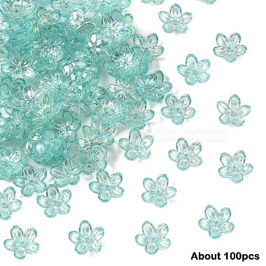 15g transparente Acrylperlenkappen(TACR-YW0003-07A)-1