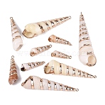 Electroplate Natural Spiral Shell Big Pendants, Shell Shape Charms, with Iron Loops and Brass Findings, Seashell Color, Light Gold, 23~68x7~19x7~19mm, Hole: 1.6~1.8mm(SSHEL-Q100-26KCG)