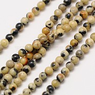 Natural Gemstone Dalmatian Jasper Round Beads Strands, 2mm, Hole: 0.8mm, about 184pcs/strand, 16 inch(G-A130-2mm-20)