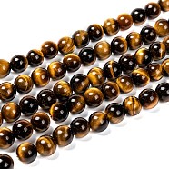 Natural Tiger Eye Beads Strands, Grade A, Round, 8mm, Hole: 1mm, about 48pcs/strand, 15 inch(X-G-J303-11-8mm)