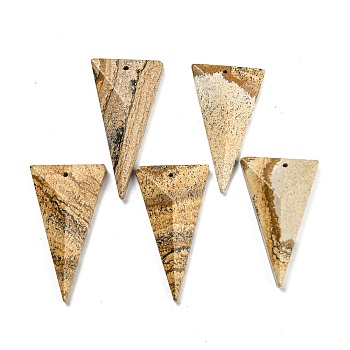 Natural Picture Jasper Pendants, Faceted Triangle Charms, 42~49.5x24.5~27.5x7~9.5mm, Hole: 1.2mm