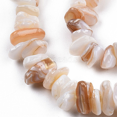 Natural Freshwater Shell Beads Strands(SHEL-N026-210)-3
