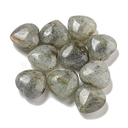 Natural Labradorite Beads, Half Drilled, Heart, 15.5x15.5x8mm, Hole: 1mm(G-P531-A13-01)