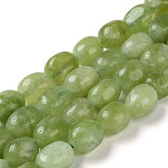 Natural Malaysia Jade Beads Strands, Faceted, Oval, Dyed and Heated, Olive Drab, 8.5~11.5x7~8x6.5~8mm, Hole: 1.5mm, about 37~38pcs/strand, 14.76''~15.55''(37.5~39.5cm)(G-I283-H14-01)