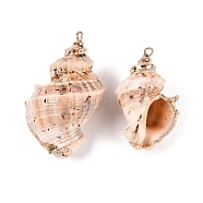 Natural Sea Shell Pendants, Shell Shaped Charms with Golden Tone Iron Loops, PeachPuff, 25~40x15~27x12~22mm, Hole: 1.6~1.8mm(SSHEL-N038-53)