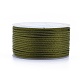 Полиэстер плетеные шнуры(OCOR-I006-A01-32)-1