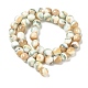 Natural Seashell Shell Beads Strands(SH-CBAFEDD-01A)-4