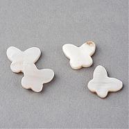Natural Sea Shell Beads, Butterfly, Creamy White, 11.5x14x2.5mm, Hole: 1.5mm(SSHEL-Q296-30)