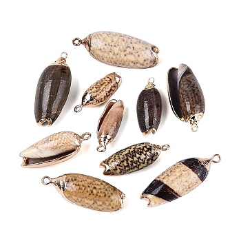 Electroplate Natural Spiral Shell Pendants, Conch Shell Charms with Golden Tone Iron Loops & Brass Edge Findings, Camel, 22~33.5x8~13x7~11mm, Hole: 1.6~1.8mm