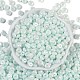 Opaque Colours Luster Glass Seed Beads(SEED-P008-01C-04)-3