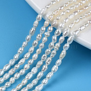 Natural Cultured Freshwater Pearl Beads Strands, Rice, Seashell Color, 3~5x2.5~3mm, Hole: 0.6mm, about 94~100pcs/strand, 13.70''~14.49''(34.8cm~36.8cm)(PEAR-N012-02I)