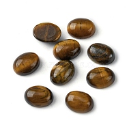 Natural Tiger Eye Cabochons, Oval, 8~8.5x6~6.5x2.5~3.5mm(G-A094-01B-09)