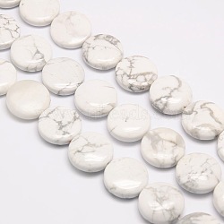 Natural Flat Round Crackle Howlite Beads Strands, 20x7~9mm, Hole: 1mm, about 20pcs/strand, 15.74 inch(G-L246-04)