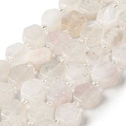 Natural Rainbow Moonstone Beads Strands, Hexagon, with Seed Beads, 8.5~9x8.5~10x4~5mm, Hole: 1mm, about 17~18pcs/strand, 7.48''(19cm)(G-P534-A06-01)