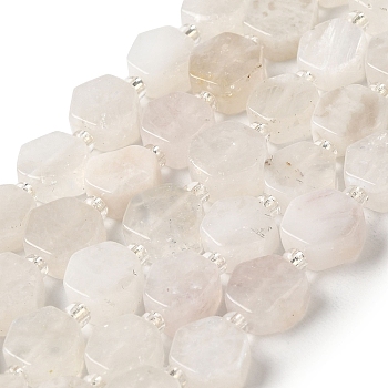 Natural Rainbow Moonstone Beads Strands, Hexagon, with Seed Beads, 8.5~9x8.5~10x4~5mm, Hole: 1mm, about 17~18pcs/strand, 7.48''(19cm)