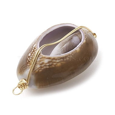 Natural Cowrie Shell Copper Wire Wrapped Pendants(PALLOY-JF02451-01)-3