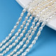 Natural Cultured Freshwater Pearl Beads Strands(PEAR-N012-02I)-1