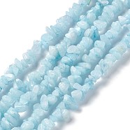 Natural White Jade Chip Beads Strands, Imitation Aquamarine, Dyed, 5~19.5x3~8.5x1.5~7.5mm, Hole: 1mm, about 221~293pcs/strand, 31.10~32.68 inch(79~83cm)(G-G905-02)