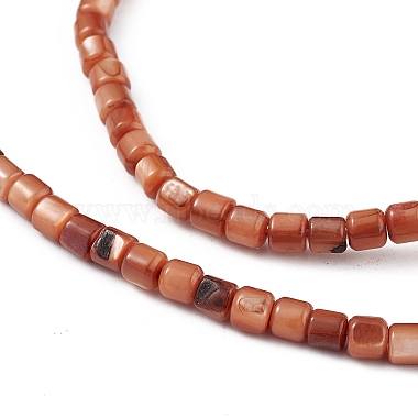 Natural Freshwater Shell Dyed Beads Strands(SHEL-M018-14-02)-3