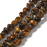Natural Tiger Eye Beads Strands, Tumbled Stone, Nuggets, 8~14x7~12x5~8mm, Hole: 1.4mm, about 50pcs/strand, 15.35''(39cm)(G-P489-01)