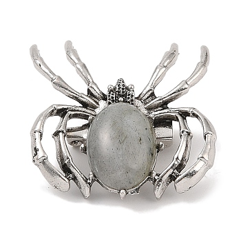 Natural Labradorite Brooches, with Alloy Findings, Spider, Antique Silver, 37x34x8mm