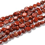 Natural Red Jasper Nuggets Beads Strand, Tumbled Stone, 5~8.5x5.5~7x3.5~4mm, Hole: 0.7mm, about 64pcs/strand, 16.34''(41.5cm)(G-G018-21)