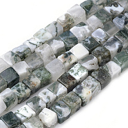 Natural Tree Agate Beads Strands, Cube, 4~5x4~5x4~5mm, Hole: 1mm, about 80~82pcs/strand, 14.9 inch(X-G-R451-02)