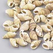 Spiral Shell Beads, No Hole/Undrilled, Wheat, 10~18x5~10x5~8mm(SSHEL-S251-07)