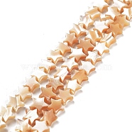 Star Natural White Shell Beads Strands, Mother of Pearl Shell Beads, Wheat, 7~8x7~9x3mm, Hole: 0.5mm, about 62pcs/strand, 15.9 inch(BSHE-Q025-14B)