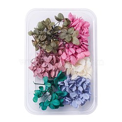 Dried Flowers, DIY Candle Soap Making Accessories, with Plastic Rectangle Box, Mixed Color, 7.6~9.2x4~8.9cm(DIY-D052-16)