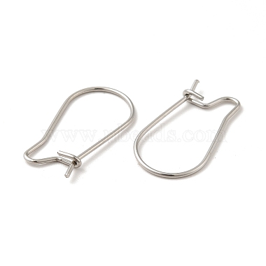 316 Surgical Stainless Steel Hoop Earrings Findings Kidney Ear Wires(X-STAS-E009-6)-2