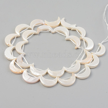 Electroplate Natural Freshwater Shell Beads Strands(SHEL-T017-16D)-2