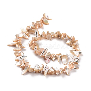 Natural Trochus Shell Beads Strands(SSHEL-H070-03A)-3