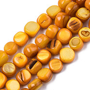 Natural Freshwater Shell Beads Strands, Dyed, Nuggets, Gold, 7~9x7~8x2.5~6mm, Hole: 0.8mm, about 48~50pcs/strand, 14.96~15.74 inch (38~40cm)(SHEL-S276-110B-08)