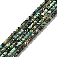 Natural African Turquoise(Jasper) Beads Strands, Faceted, Cube, 2.5x2.5x2.5mm, Hole: 0.7mm, about 170pcs/strand, 15.35''(39cm)(G-D467-A13)